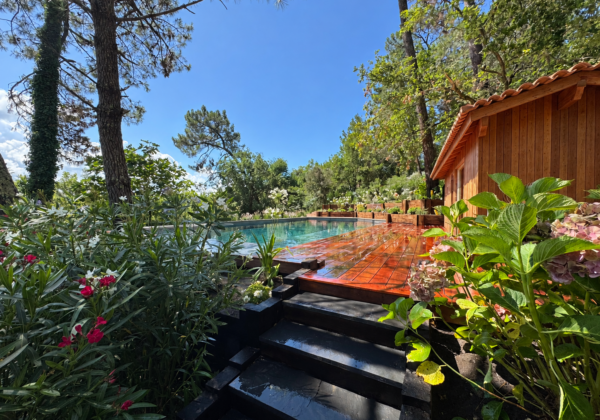 Image du projet, la piscine et son pool house dans les pins – Piscine, Pyla-sur-Mer