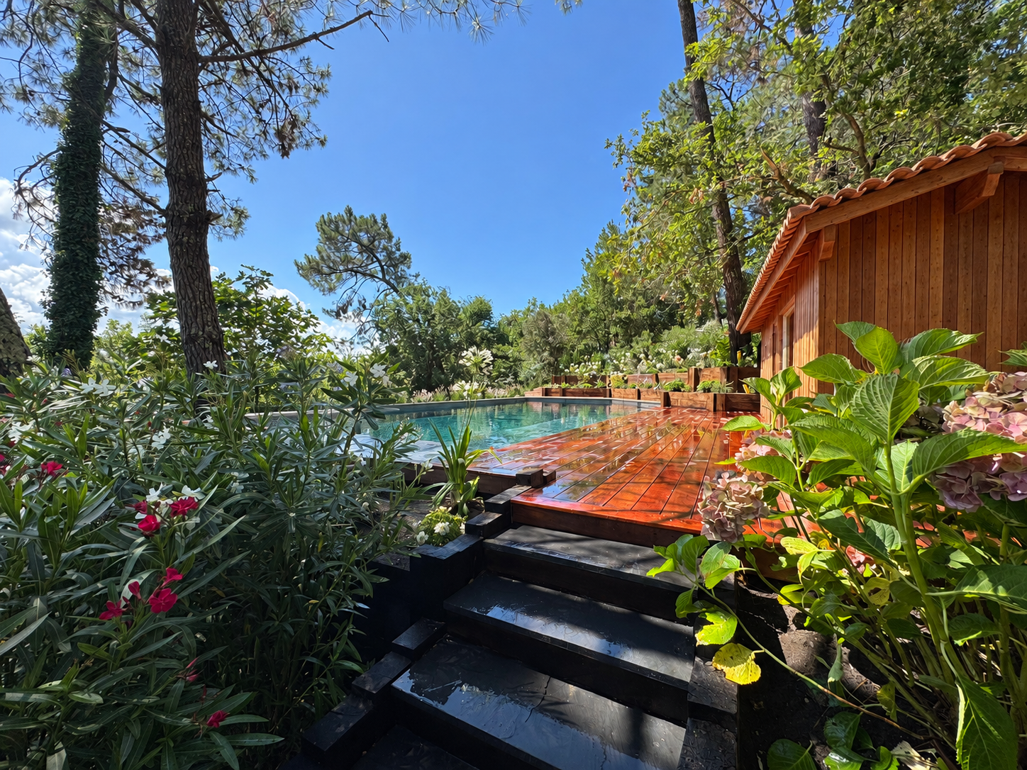 Image du projet, la piscine et son pool house dans les pins – Piscine, Pyla-sur-Mer